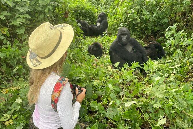 1 Day Rwanda Gorilla Trekking Tour In The Volcanoes National Park - What the $360 price really covers
