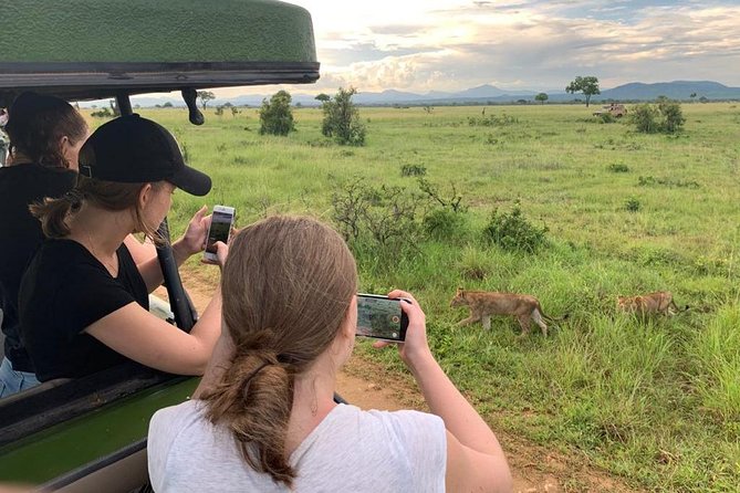 1 Day Safari to Mikumi National Park - Leaving Dar es Salaam Before Sunrise
