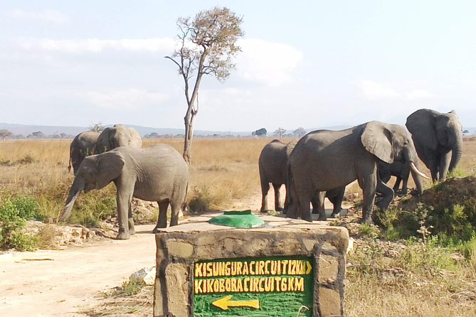 1 Day Safari to Mikumi National Park - Entering Mikumi National Park
