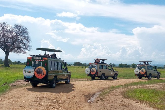 1 Day Safari to Mikumi National Park - The Morning Game Drive