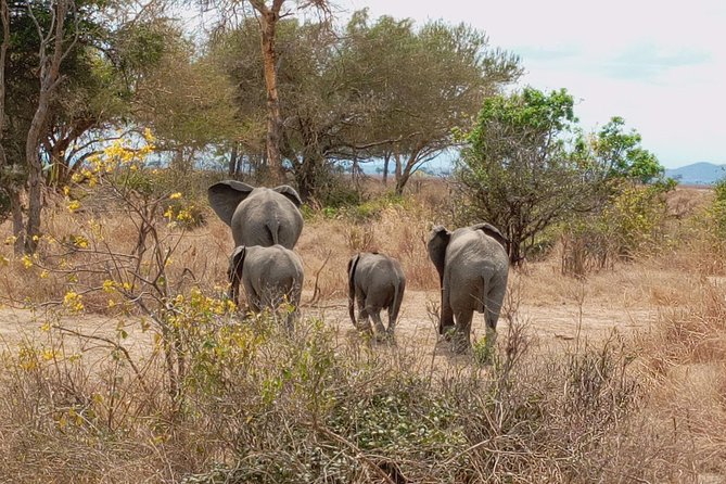 1 Day Safari to Mikumi National Park - The Return to Dar es Salaam
