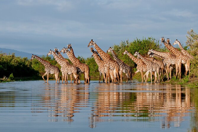 1-Day Selous (Nyerere National Park) Fly-In Safari from Zanzibar - Why this Zanzibar safari works as a day trip