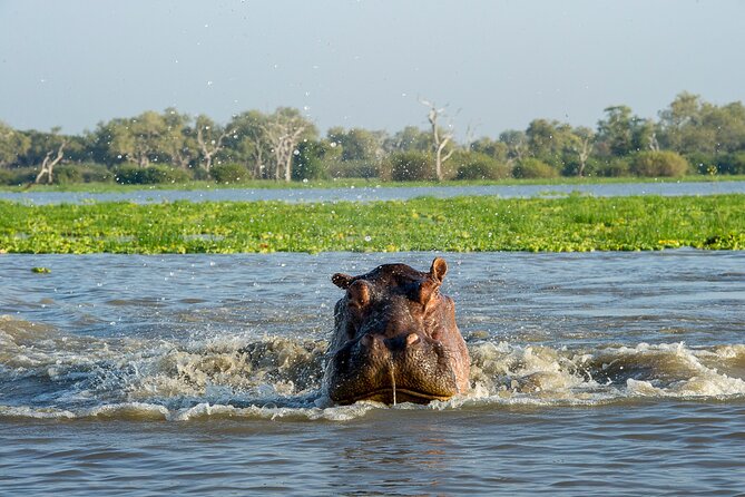 1-Day Selous (Nyerere National Park) Fly-In Safari from Zanzibar - The bush picnic and the value of a proper pause