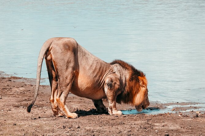 1-Day Selous (Nyerere National Park) Fly-In Safari from Zanzibar - The return flight and what the 10-hour schedule means