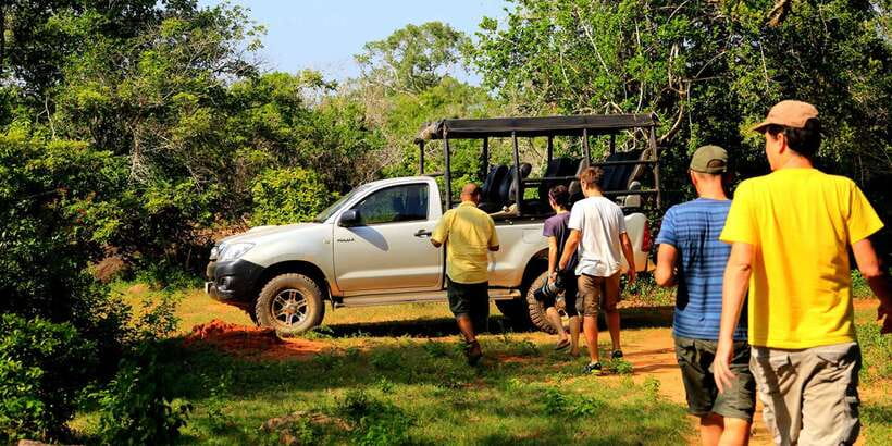 1-Day Tour of Both Yala and Udawalawe National Parks - Quick take: what makes this safari different