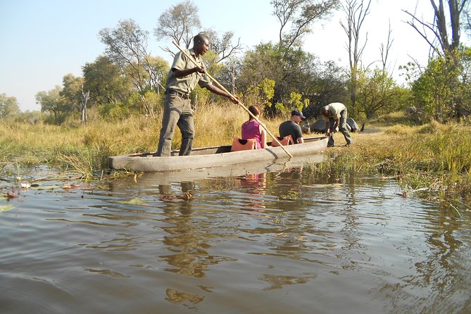 11Day WILDERNESS TRAIL:Okavango,Moremi&Chobe -WildCamping Safari +Victoria Falls - Days 5 and 6: Moremi brings the open safari vehicle