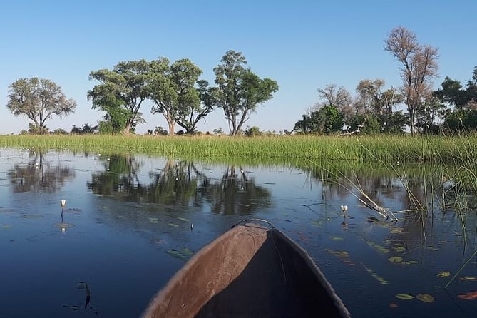 11Day WILDERNESS TRAIL:Okavango,Moremi&Chobe -WildCamping Safari +Victoria Falls - Days 8 and 9: Savute game drives and the road to Chobe