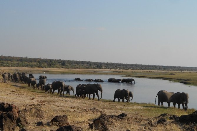 11Day WILDERNESS TRAIL:Okavango,Moremi&Chobe -WildCamping Safari +Victoria Falls - Day 10: Victoria Falls adds a strong final scene
