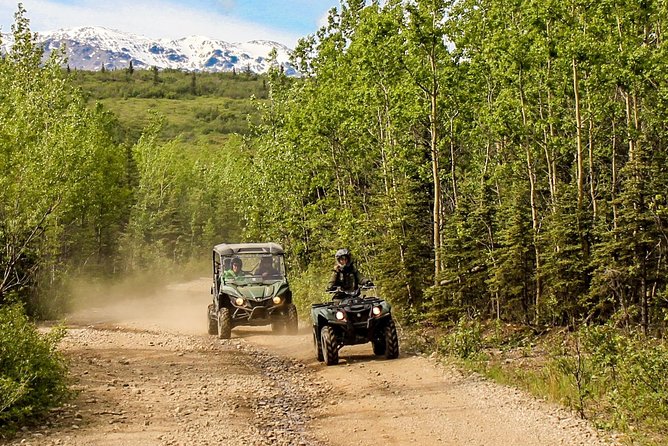 2.5-Hour Denali Wilderness ATV Adventure Tour - Wildlife is possible, not promised