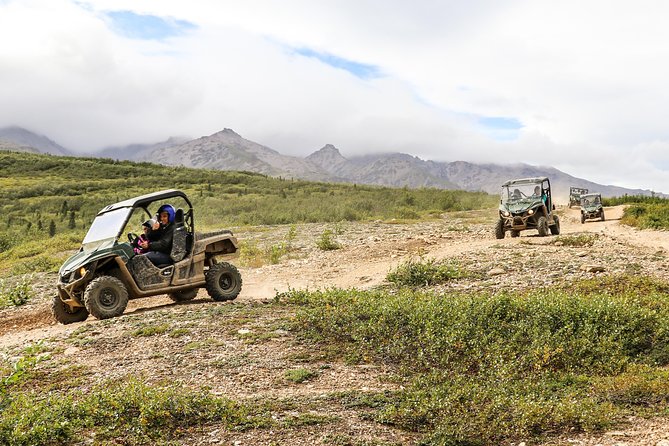 2.5-Hour Denali Wilderness ATV Adventure Tour - What the 10-mile trail ride feels like