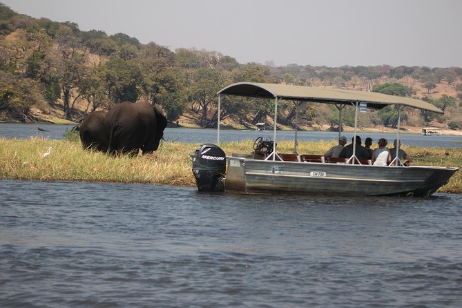 2-Day Camping Safari in Chobe National Park from Victoria Falls - Dinner by the fire and a night under canvas