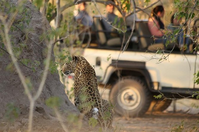 2-Day Camping Safari in Chobe National Park from Victoria Falls - Weather, clothing, and small things that matter