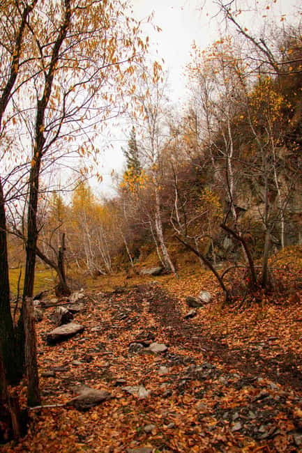 2 Day Horse trekking in Terelj national park - Why this two-day Terelj trip works