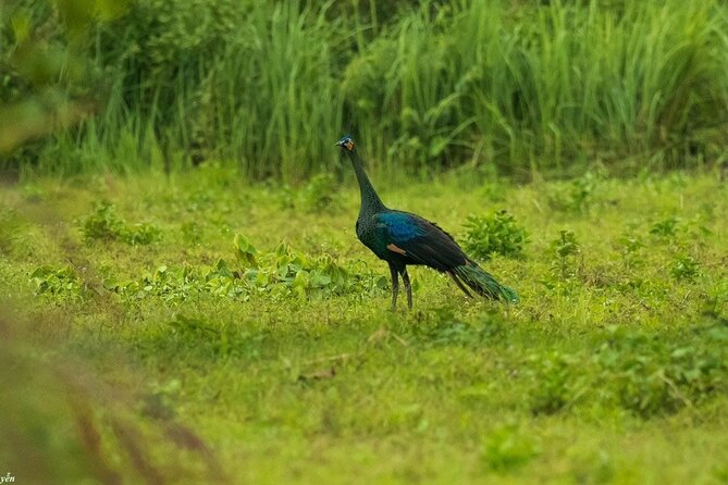2-Day Trekking & Biking Nam Cat Tien National Park from HCM City - How the activities work together