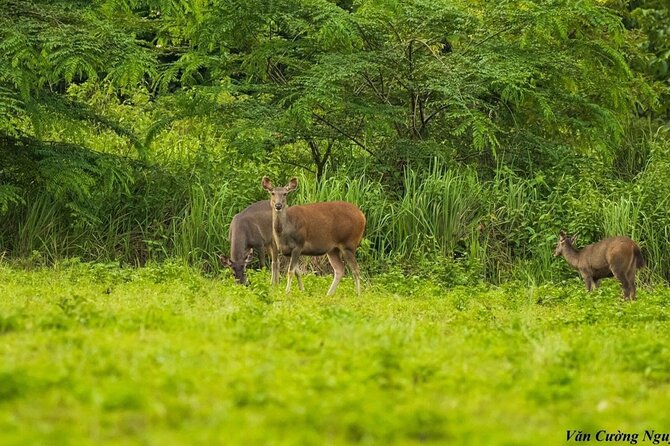 2-Day Trekking & Biking Nam Cat Tien National Park from HCM City - Is $319 good value?