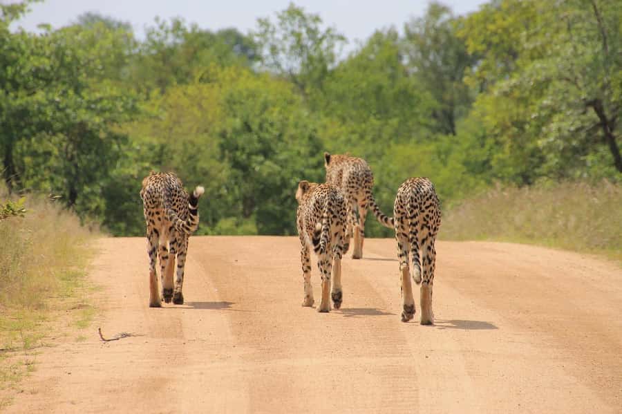 2-Day Tsavo East National Park Safari (with options) - Bachuma Gate and the first Tsavo East game drive