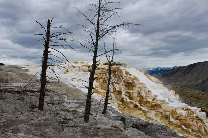 2-Day Yellowstone National Park Upper and Lower Loop Exploration - Is $650 a fair price?