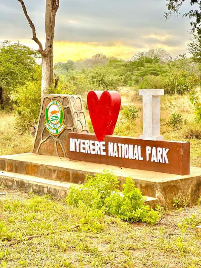 2-Days 1-Night Nyerere National Park from Zanzibar by flight - Flying from Zanzibar to Nyerere National Park