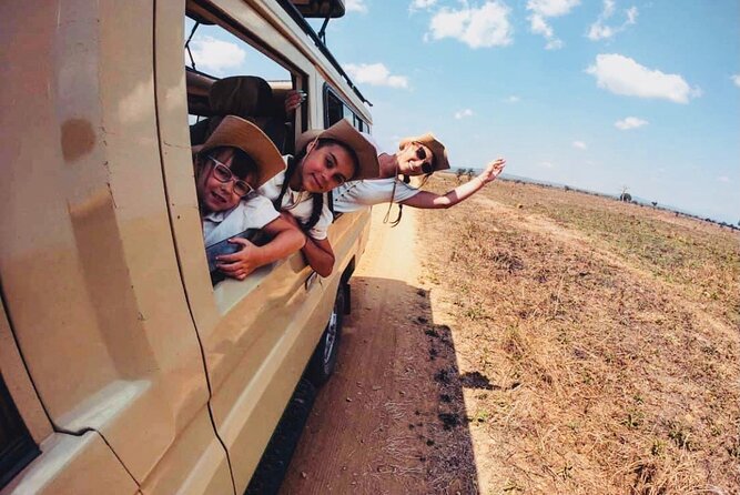 2 Days Mikumi National Park Safari From Dar es salaam or Zanzibar - From Zanzibar: convenient, but confirm the connection