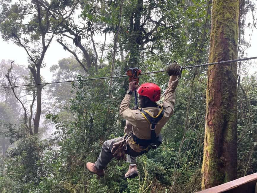 2 Days Nyungwe National Park Tours -Chimp-Canopy-Waterfall - One night beside the rainforest