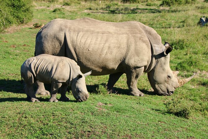 2 days Pilanesberg national park luxury safari - Key points at a glance