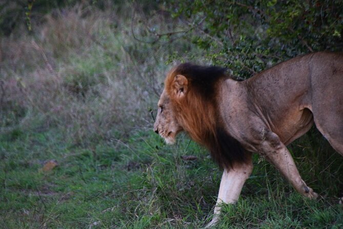 2 days Pilanesberg national park luxury safari - How to prepare for the two drives