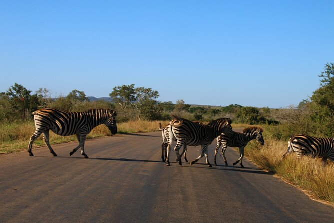 2 days Pilanesberg national park luxury safari - Day one: the road from Johannesburg or Pretoria