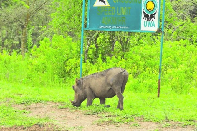 2 Days Popular Safari to Lake Mburo National Park - The two-hour Lake Mburo boat ride