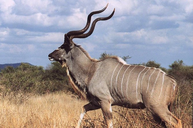 2 Days Wildlife Safari to Awash National Park - Addis Ababa to Awash, with the Rift Valley in between