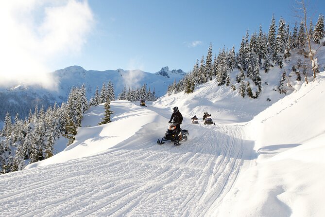 2 Hour Wilderness Adventure Snowmobile Tour in Whistler - What the Two-Hour Whistler Ride Really Includes