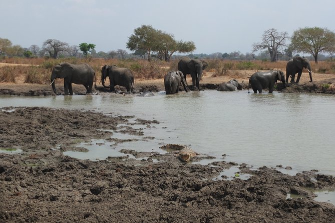 2 nights 3 days safari to mikumi national park - What the $650 price really gives you