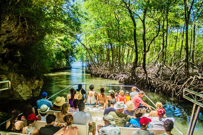 2in1: Los Haitises National Park + Yanigua Waterfall-SPA - Five details that make this day different