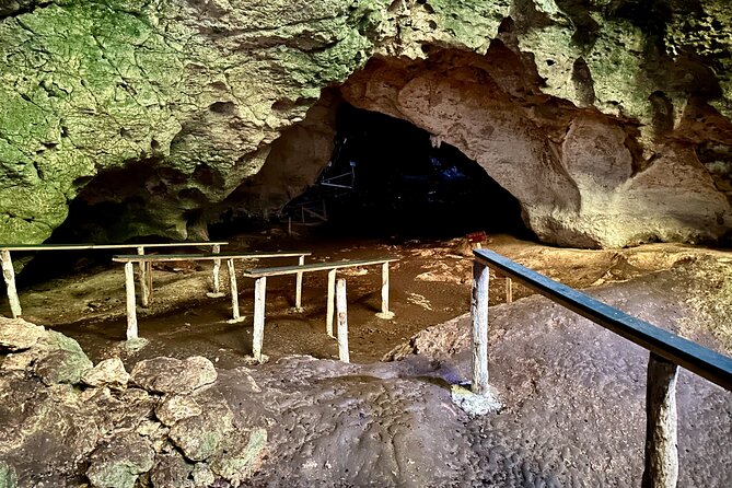 2in1: Los Haitises National Park + Yanigua Waterfall-SPA - Cocoa, coffee, and a Dominican chocolate lesson