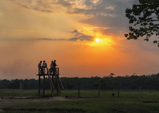 3-Day Chitwan National Park Jungle Safari Tour Package with Pick Up - Key points to know before booking