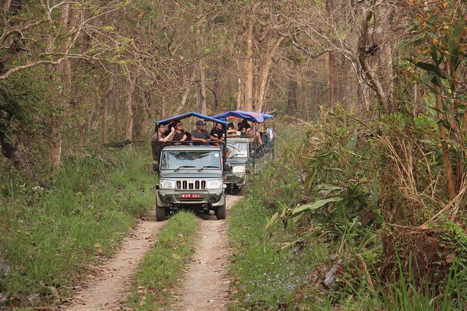 3-Day Chitwan National Park Jungle Safari Tour Package with Pick Up - The resort, food, and what is included