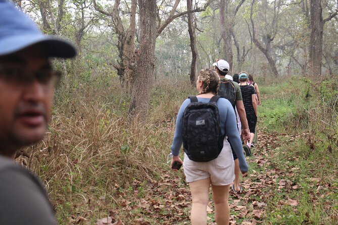 3-Day Chitwan National Park Jungle Safari Tour Package with Pick Up - Day 1: Arrival, resort check-in, and Tharu village life