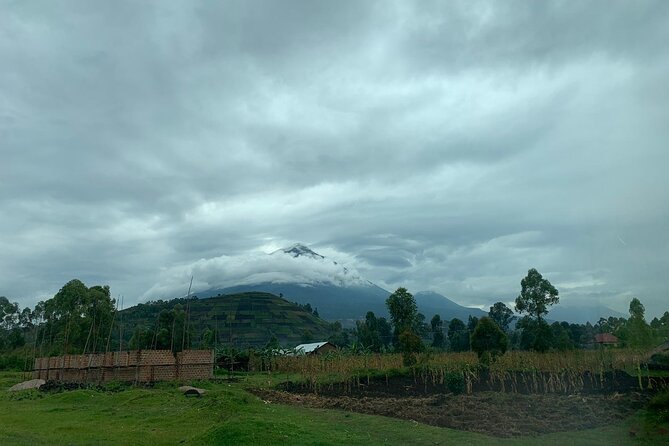3 Day Gorilla Trek at Bwindi National Park via Kigali - Communication and guide support