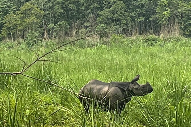 3-Day Guided Safari Tour in Chitwan National Park in Nepal - The road from Kathmandu to Chitwan