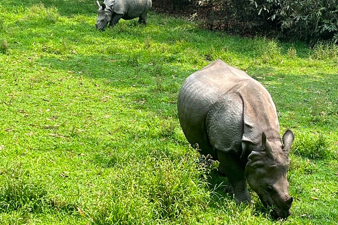 3-Day Guided Safari Tour in Chitwan National Park in Nepal - Tharu village and the first taste of the park