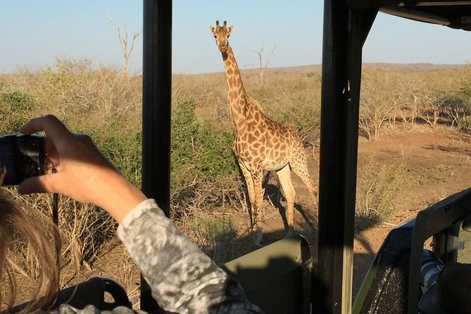 3-Day Kruger National Park Open Vehicle Safari - From Johannesburg to the park gates on Day 1