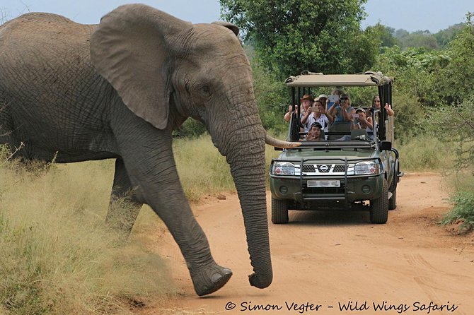3-Day Kruger National Park Open Vehicle Safari - The full wildlife day on Day 2