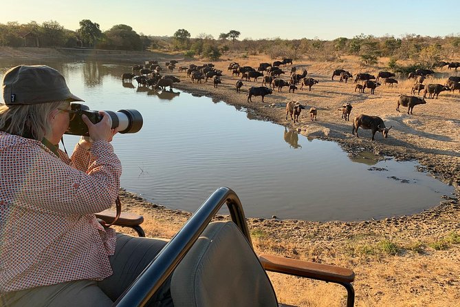 3-Day Kruger National Park Open Vehicle Safari - Practical tips for a better three-day safari
