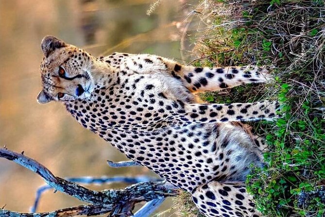 3-Day Masai Mara and Naivasha Hell's Gate National Park-Safari - Leaving Nairobi for the Great Rift Valley