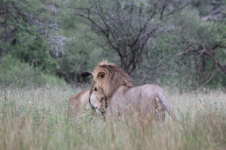 3-days adventure from Dar-es-Salaam to Mikumi National Park - Key points at a glance