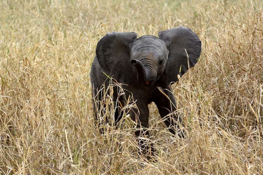 3-days adventure from Dar-es-Salaam to Mikumi National Park - The road from Dar es Salaam to Morogoro