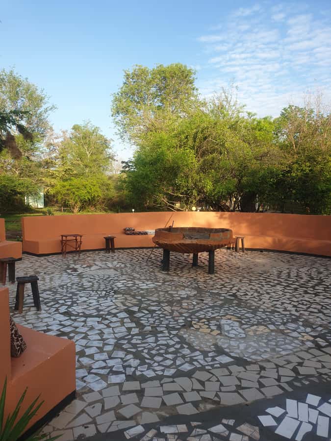 3 DAYS NYERERE NATIONAL PARK FROM ZANZIBAR BY FLIGHT. - Why This Short Safari Works from Zanzibar