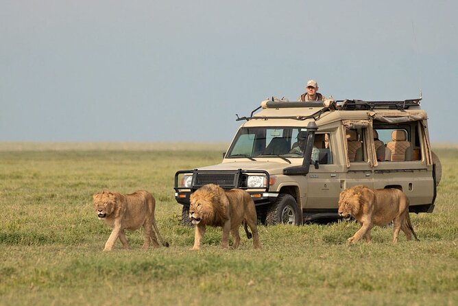 3 Days Safari Ngorongoro Crater and Serengeti National Park - What You Get for $810