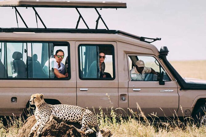 3 Days Safari Ngorongoro Crater and Serengeti National Park - Day Two: Kopjes, Elephants, and Seronera