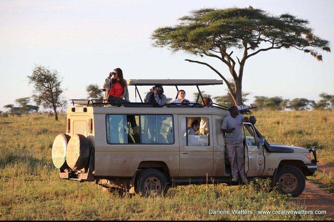 3 Days Safari Ngorongoro Crater and Serengeti National Park - Camping Between the Parks