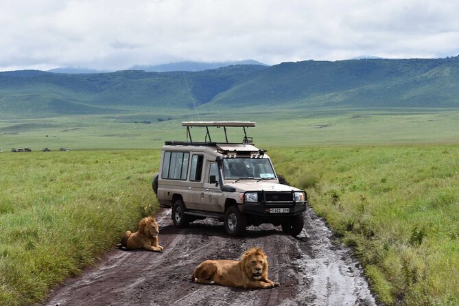 3 Days Safari Ngorongoro Crater and Serengeti National Park - Season, Weather, and Wildlife Expectations